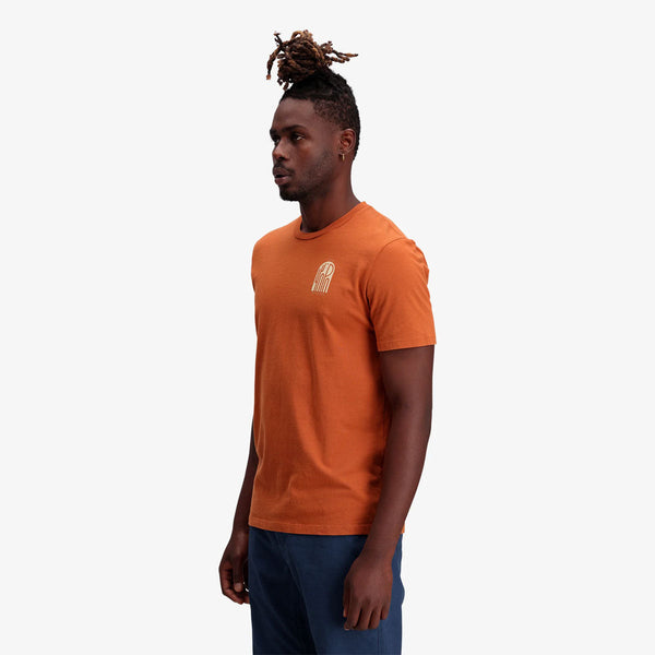 Cacti Night Tee - Men's : Clay